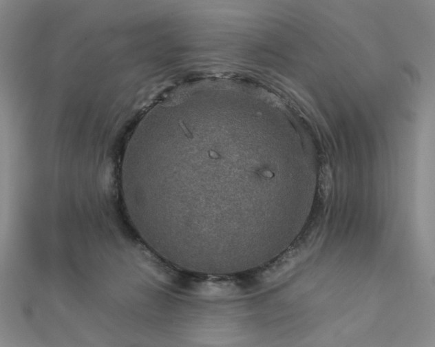 X0000112770270200908201514