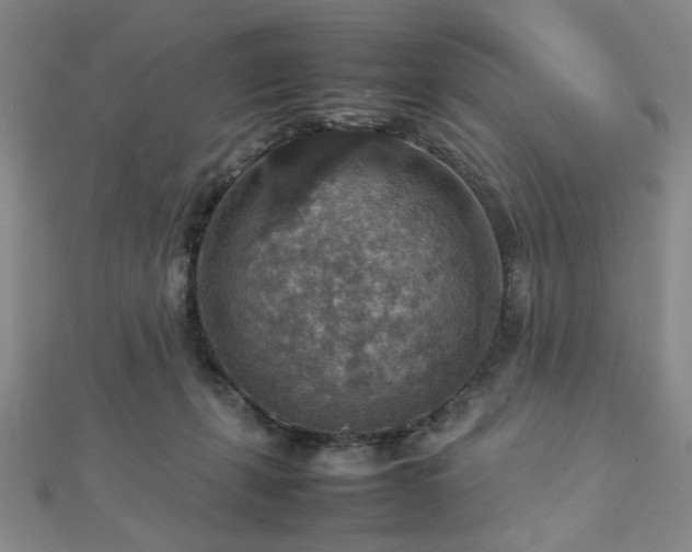X0000112770271200908201514