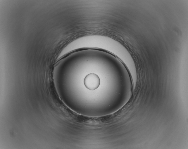 X0000112770272200908201514