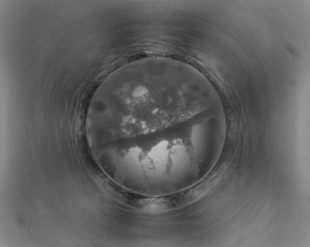 X0000112770273200908201514