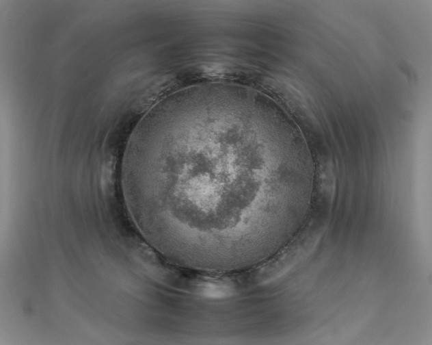 X0000112770275200908201514