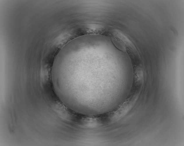 X0000112770276200908201514