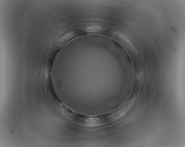 X0000112770277200908201514