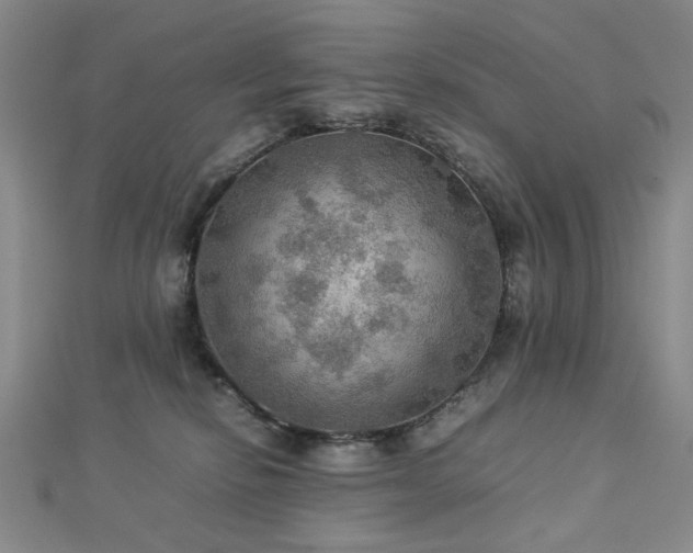 X0000112770278200908201514
