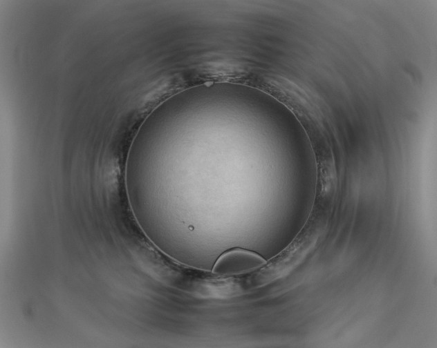 X0000112770279200908201514