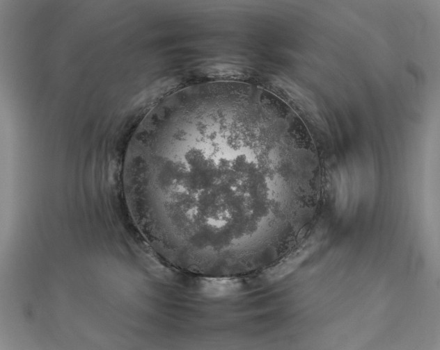 X0000112770281200908201514