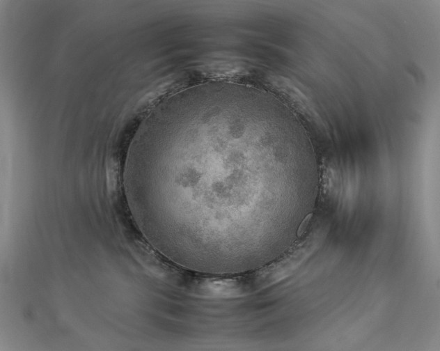 X0000112770283200908201514