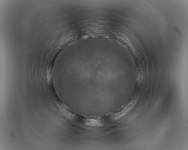 X0000112770285200908201514