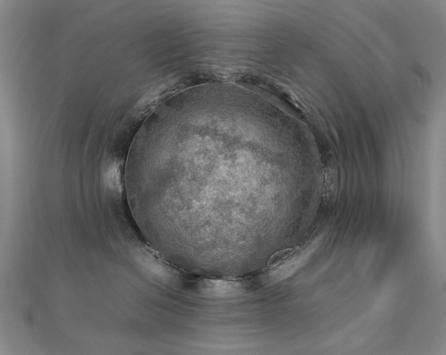 X0000112770286200908201514