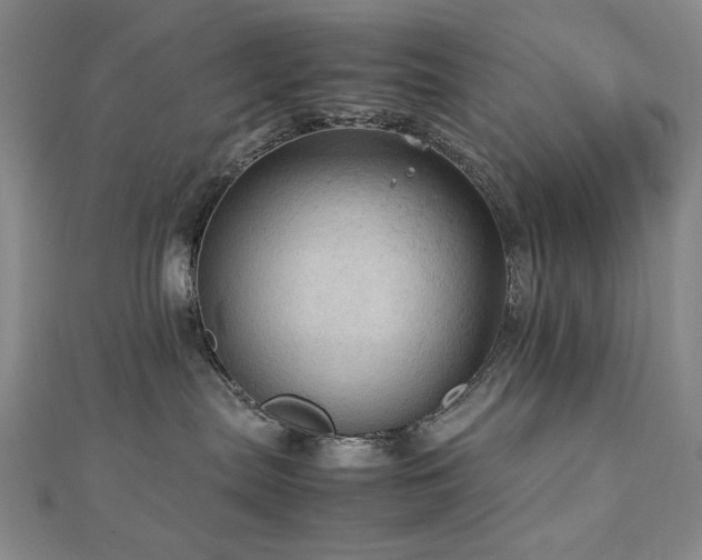 X0000112770287200908201514