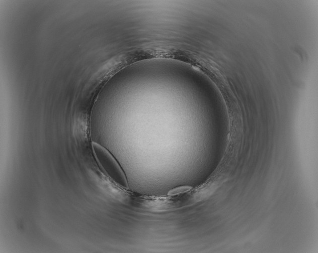X0000112770288200908201514