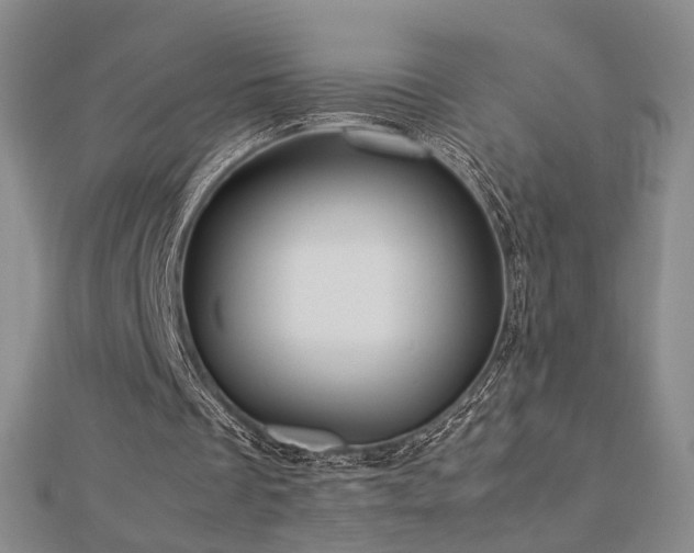 X0000112770289200908201513