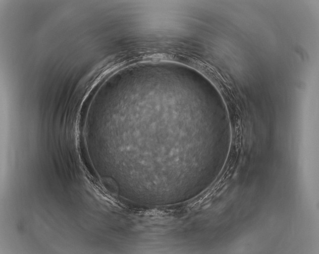 X0000112770290200908201513