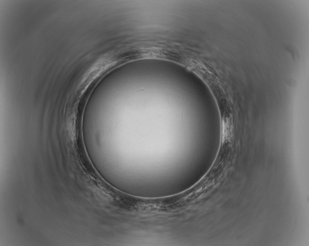X0000112770291200908201513