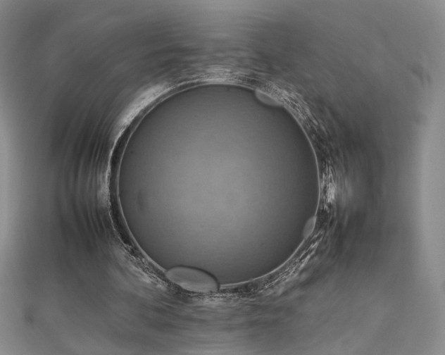 X0000112770292200908201513