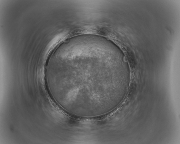 X0000112770293200908201513