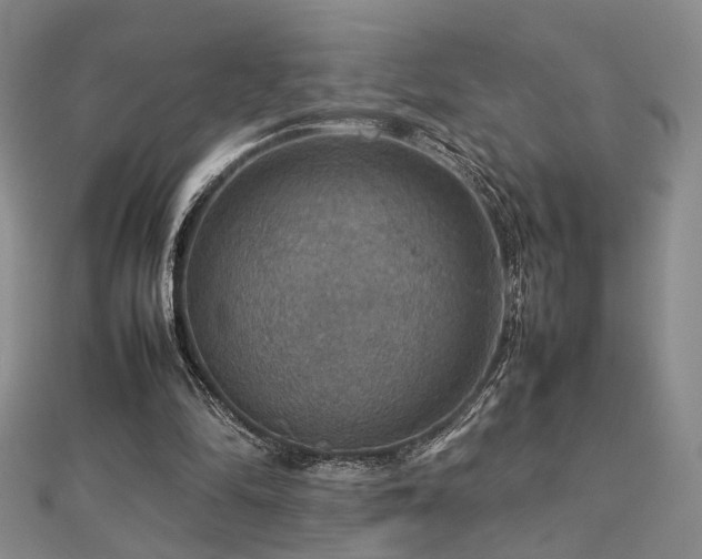 X0000112770294200908201513