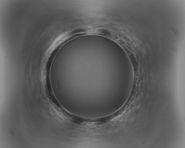 X0000112770295200908201513