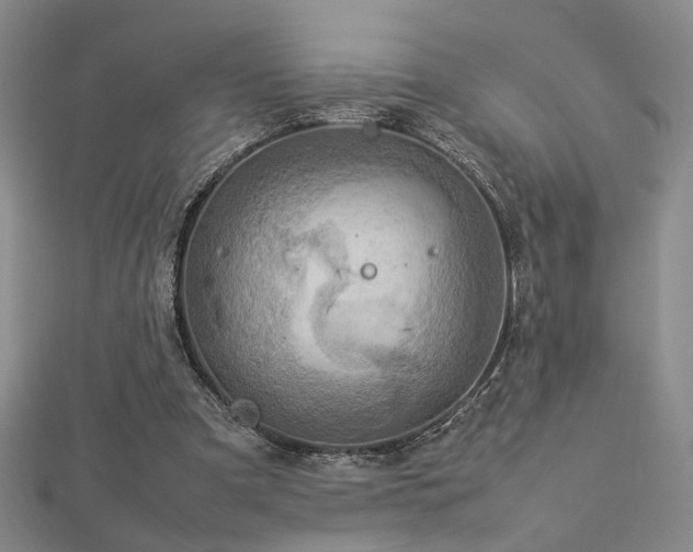 X0000112770297200908201513