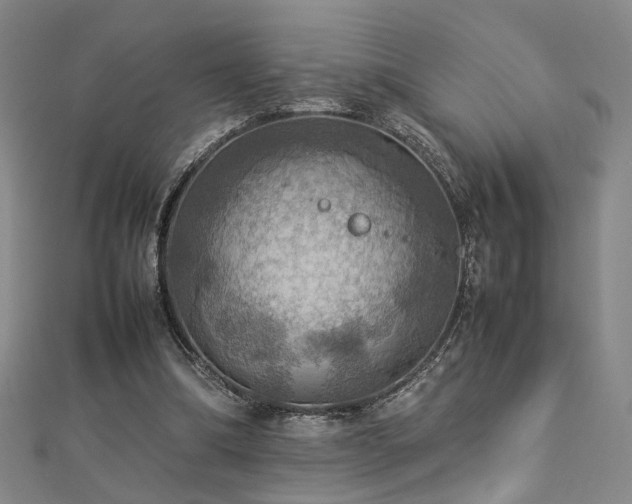 X0000112770298200908201513