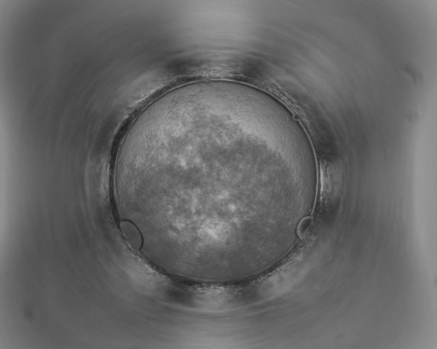 X0000112770301200908201513