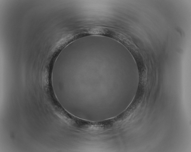 X0000112770303200908201513