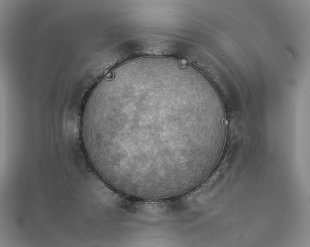 X0000112770305200908201513