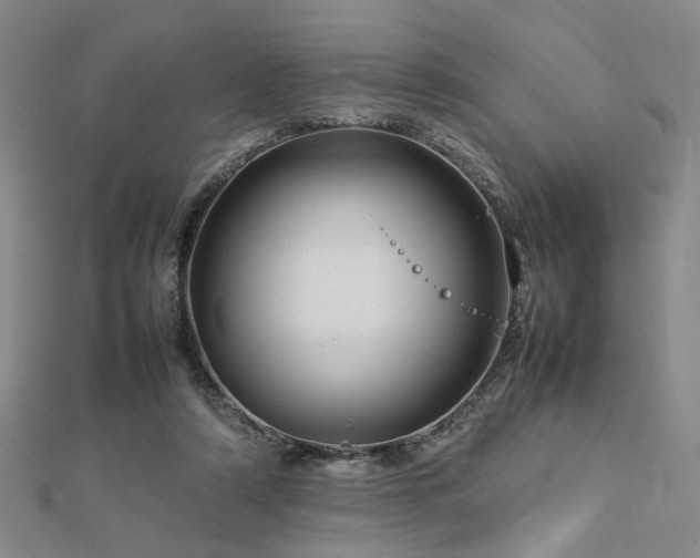 X0000112770306200908201513