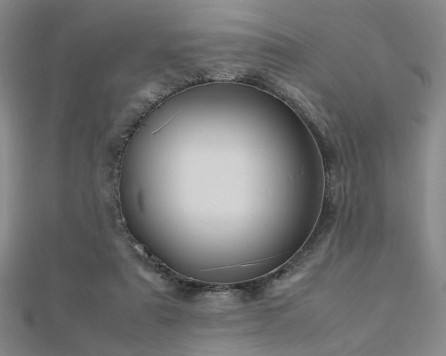 X0000112770307200908201513