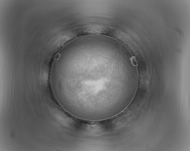 X0000112770309200908201513