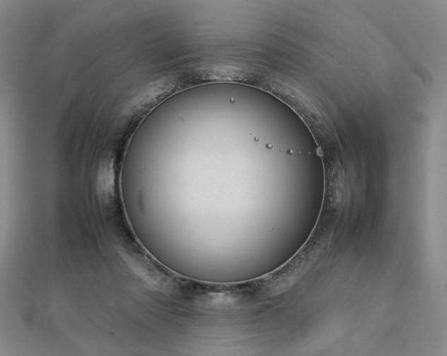 X0000112770310200908201513