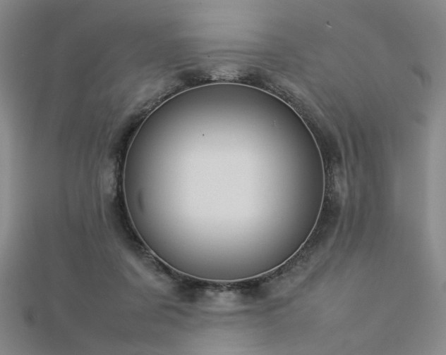 X0000112770311200908201513