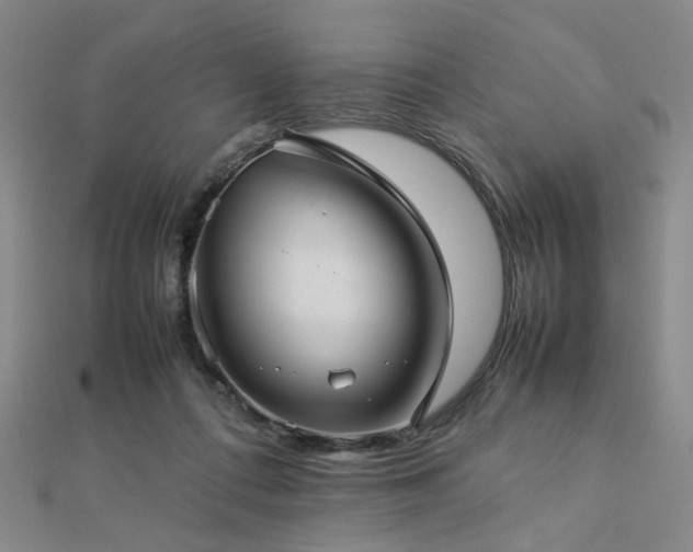 X0000112770312200908201513