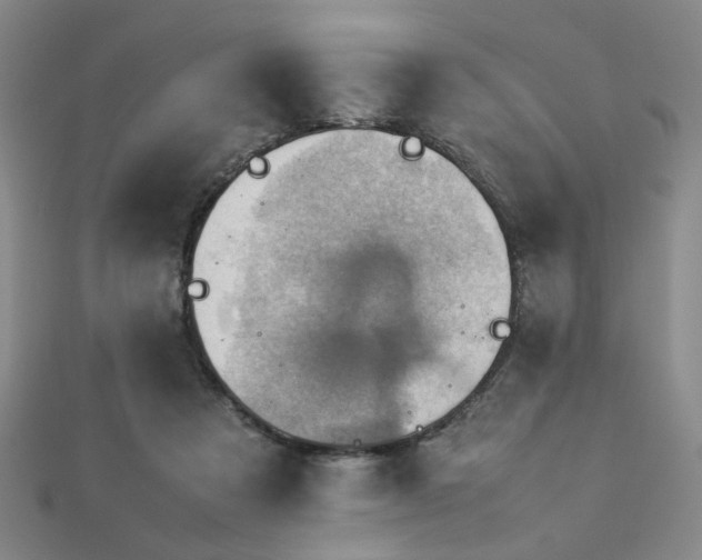 X0000112770313200908201513