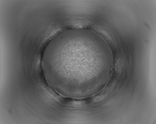 X0000112770314200908201513