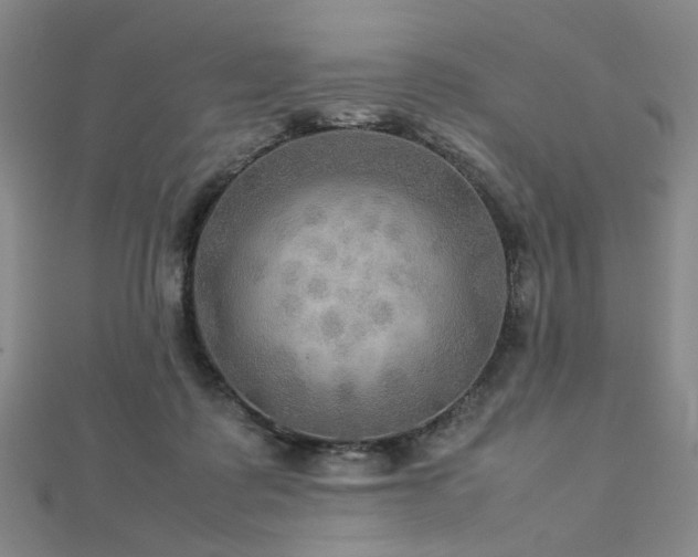 X0000112770315200908201513