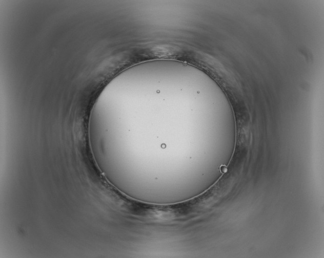 X0000112770317200908201513