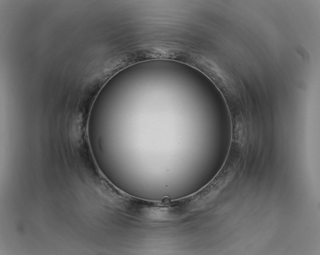 X0000112770318200908201513