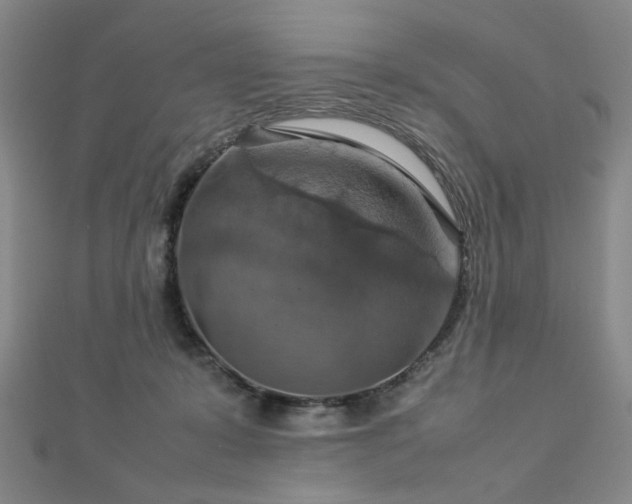 X0000112770319200908201513