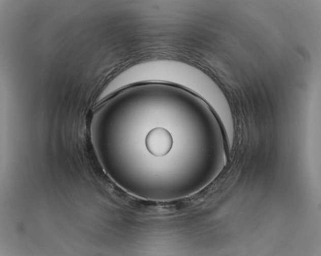 X0000112770320200908201513