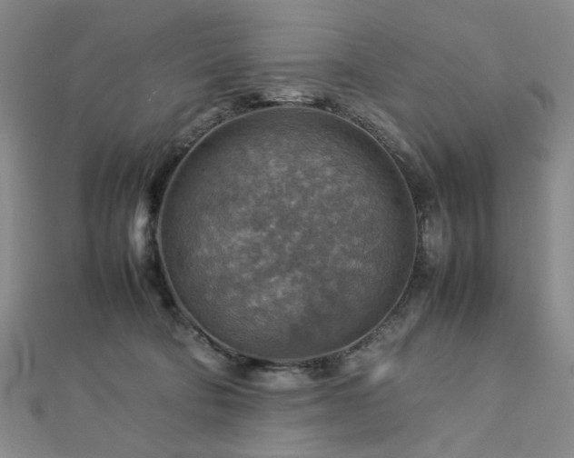 X0000112770322200908201513