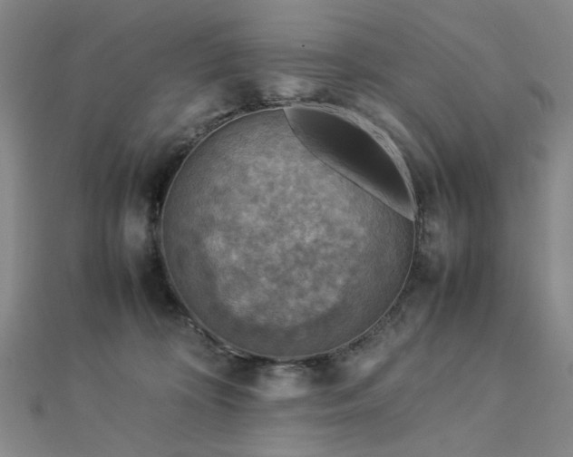 X0000112770324200908201513