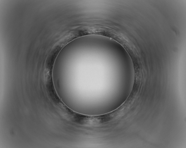X0000112770327200908201513