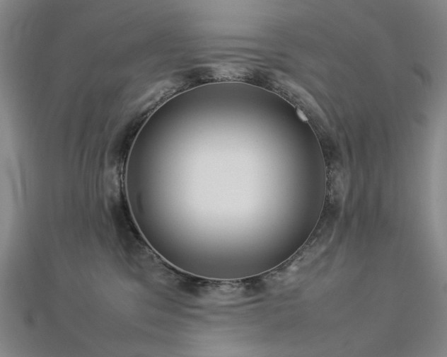 X0000112770329200908201513