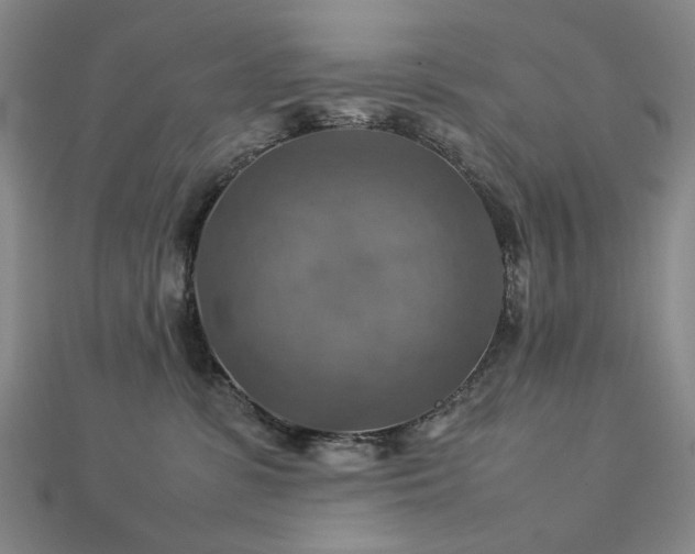 X0000112770331200908201513