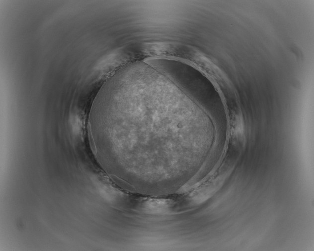 X0000112770332200908201513