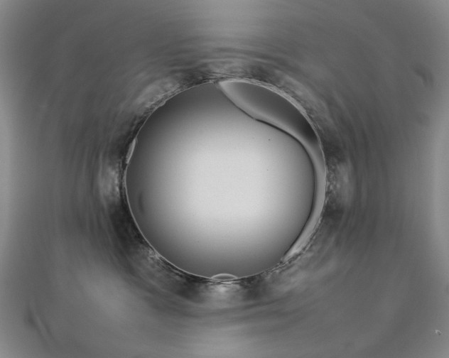 X0000112770333200908201513