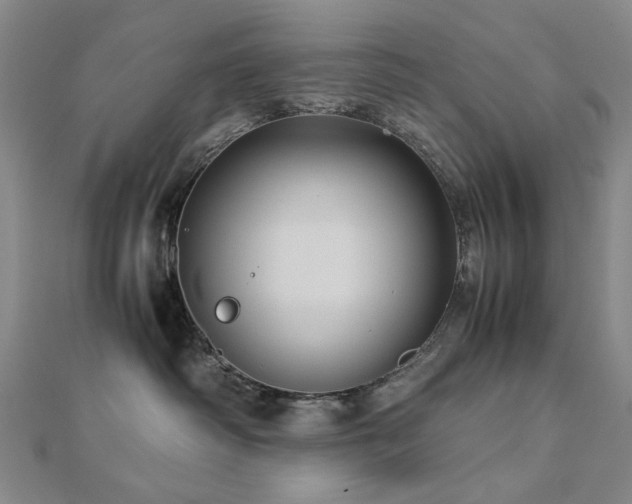 X0000112770334200908201513