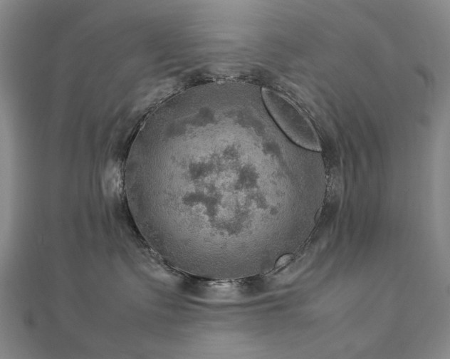 X0000112770335200908201513