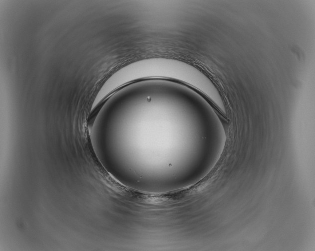 X0000112770336200908201513